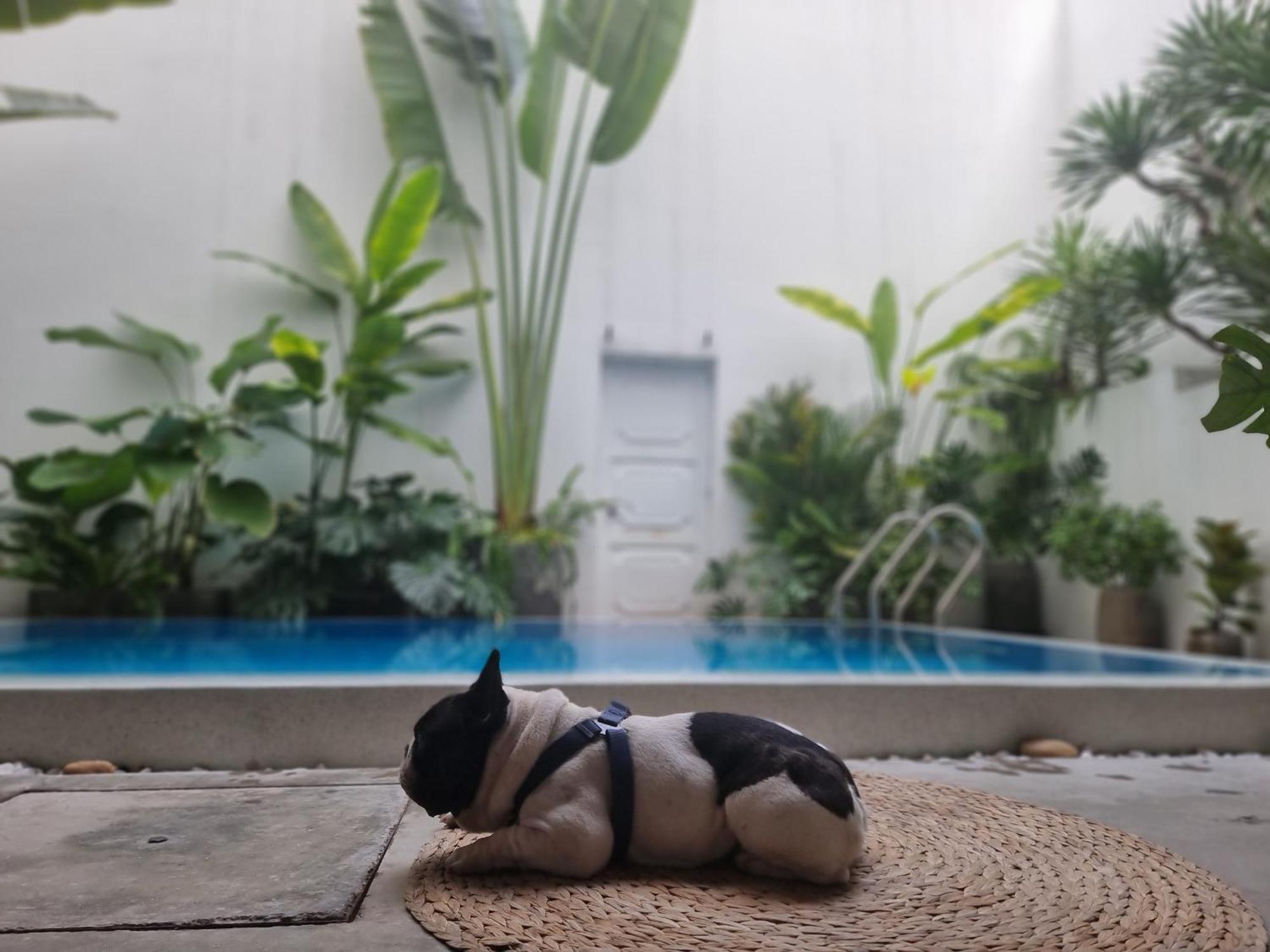 Lada'S House Da Nang Apartment Екстериор снимка