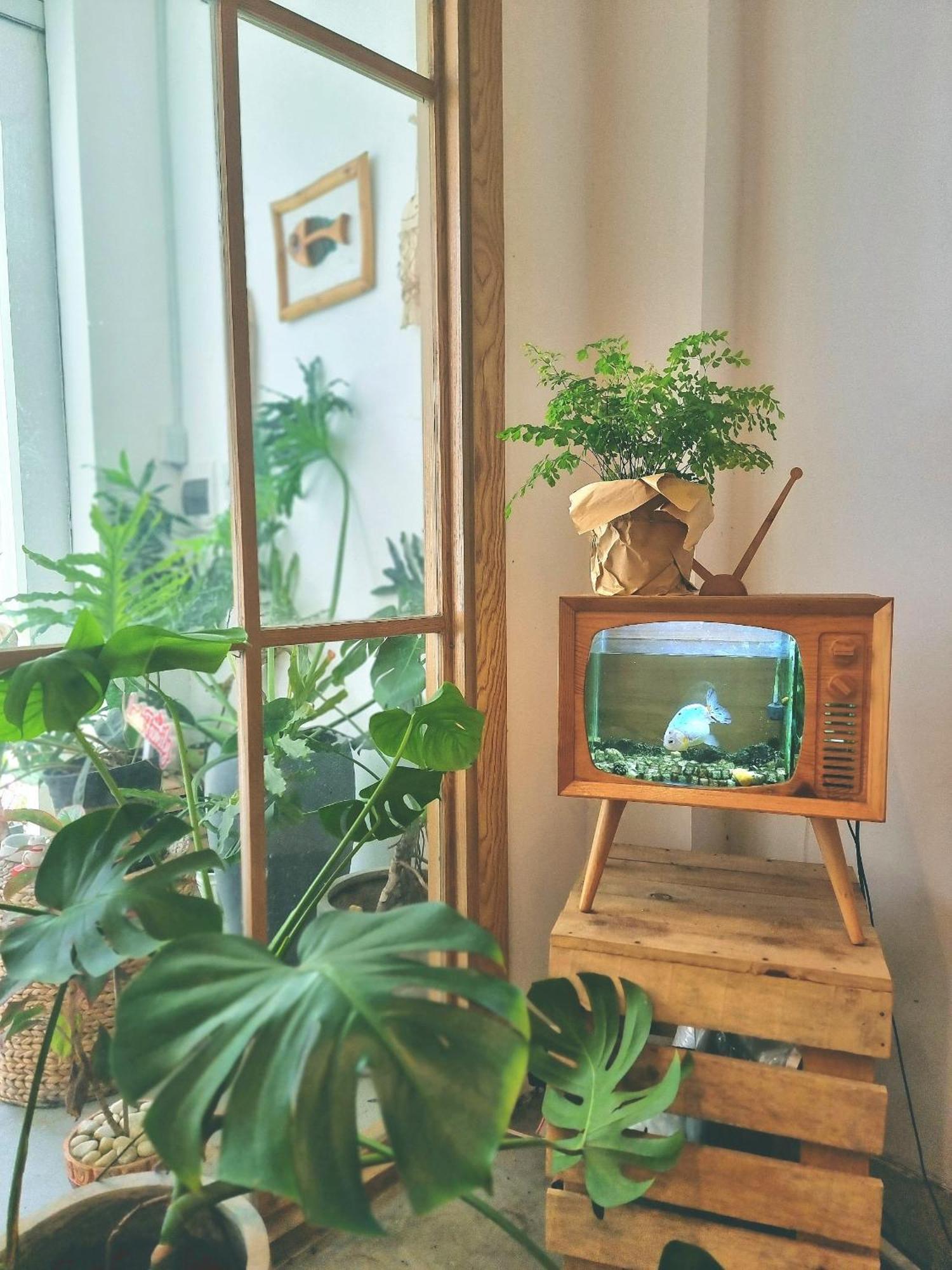 Lada'S House Da Nang Apartment Екстериор снимка